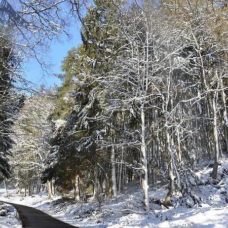 Eifel Landhaus Seeblick Biersdorf