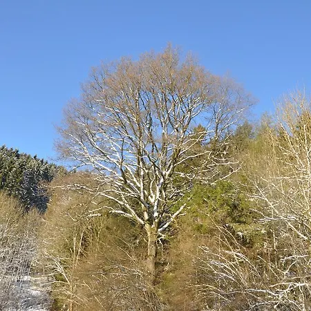 別荘 Eifel Landhaus Seeblick *