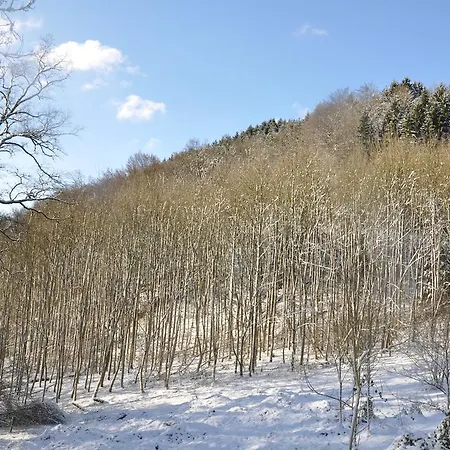 Eifel Landhaus Seeblick 別荘 *