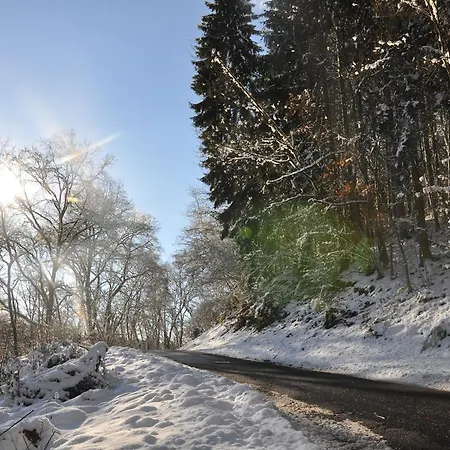 Eifel Landhaus Seeblick 別荘 *